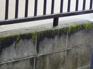DSC03089